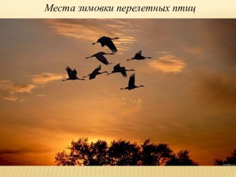 Конспект ООД по технологии Н.А. Коротковой Путешествие по карте Поможем птицам вернуться домой план-конспект занятия (подготовительная группа)