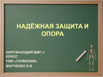 Организм человека: Надёжная защита и опора, 3 класс УМК Гармония презентация к уроку по окружающему миру (3 класс)