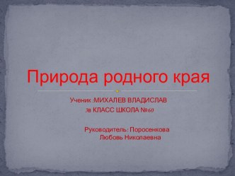 Природа родного края презентация к уроку по окружающему миру (3 класс) по теме