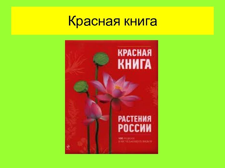 Красная книга