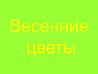 Весенние цветы. Конспект занятия для детей старшего дошкольного возраста план-конспект занятия по окружающему миру (старшая группа) по теме