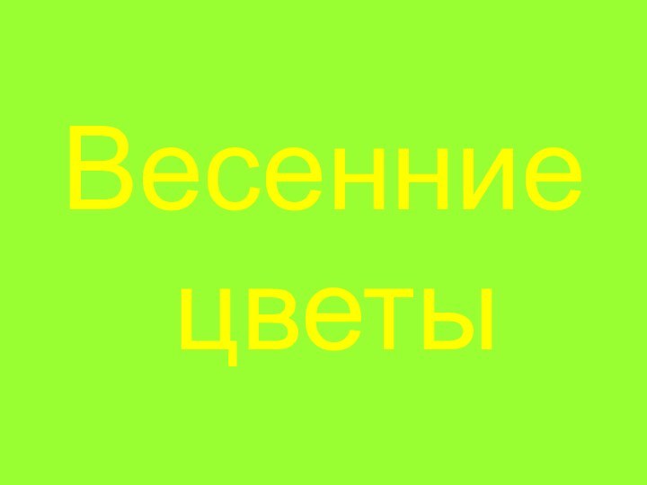 Весенние  цветы