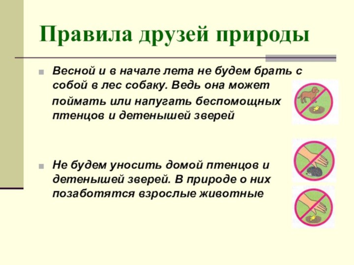 Правила друзей природыВесной и в начале лета не будем брать с собой