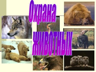 Охрана животных презентация к уроку (окружающий мир, 3 класс)