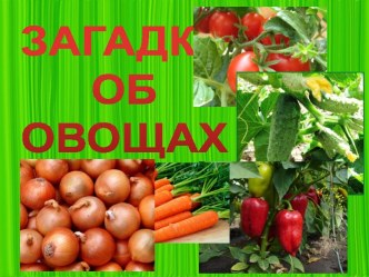 Презентация для детей Загадки об овощах презентация к уроку по окружающему миру