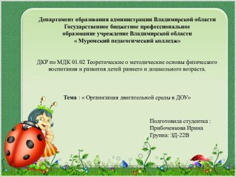 Организация двигательной среды в ДОУ презентация