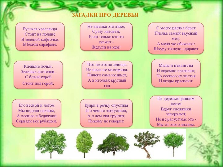 Русская красавица Стоит на поляне В зеленой кофточке, В белом сарафане.Клейкие