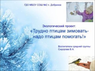 Экологический проект: Трудно птицам зимовать- надо птицам помогать! проект (средняя группа)