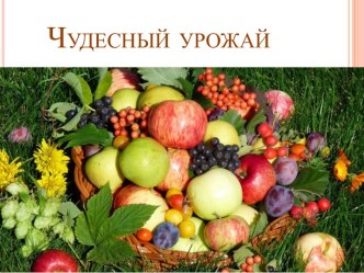 Чудесный урожай презентация к уроку по окружающему миру (старшая группа)