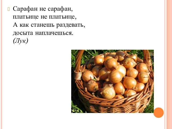 Сарафан не сарафан, платьице не платьице, А как станешь раздевать, досыта наплачешься. (Лук)