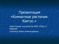 Комнатные растения. Кактус презентация по окружающему миру