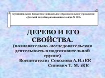 Презентация Дерево и его свойства презентация к уроку по окружающему миру (средняя группа) по теме