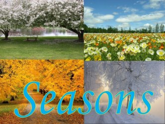 Времена года презентация к уроку (подготовительная группа)