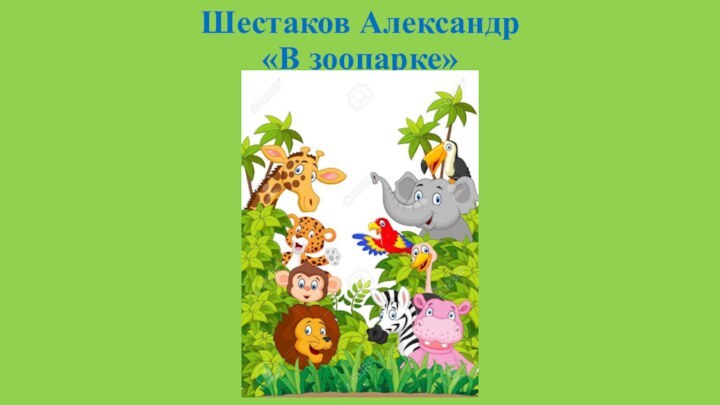 Шестаков Александр  «В зоопарке»