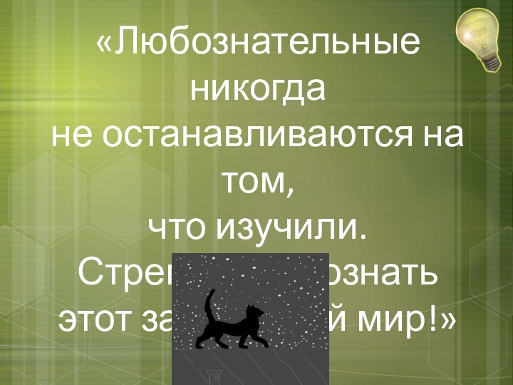 «Любознательные никогда не останавливаются на том, что изучили. Стремитесь познать этот загадочный мир!»