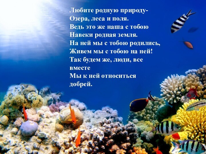 Любите родную природу-Озера, леса и поля.Ведь это же наша с тобоюНавеки родная