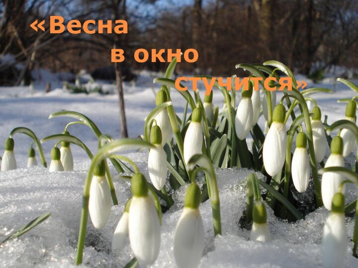 «Весна        в окно