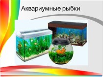 презентация Аквариумные рыбки презентация к уроку по окружающему миру (1 класс)