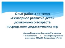 Опыт работы по теме Сенсорное развитие детей дошкольного возраста посредством дидактических игр материал (средняя группа)