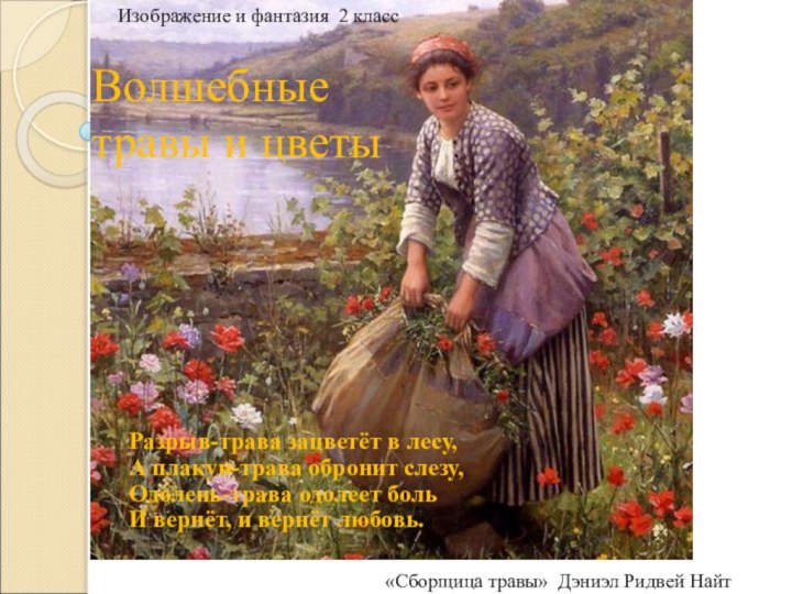 Волшебные травы и цветыРазрыв-трава зацветёт в лесу, А плакун-трава обронит слезу, Одолень-трава