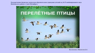 Презентация Осень. Перелетные птицы. презентация к уроку по окружающему миру (подготовительная группа)