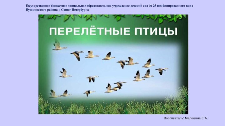 Воспитатель: Малютина Е.А.Государственное бюджетное дошкольное образовательное учреждение детский сад № 25 комбинированного