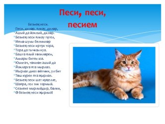 Конспект по развитию речи в средней группе Кошка с котятами план-конспект занятия по развитию речи (средняя группа) по теме