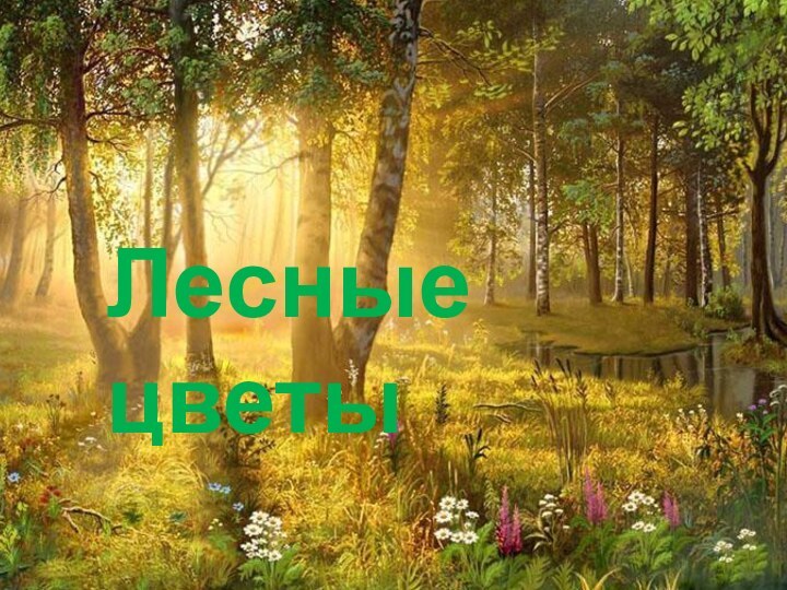 Лесные цветы