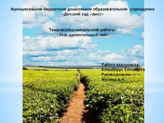 Чай-как напиток! опыты и эксперименты (старшая группа)