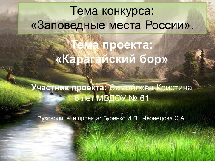 Тема конкурса: «Заповедные места России». Тема проекта: «Карагайский бор»Участник проекта: Самойлова Кристина