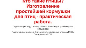 Презентация к уроку окружающего мира в 1 классе Кто такие птицы? презентация к уроку по окружающему миру (1 класс)