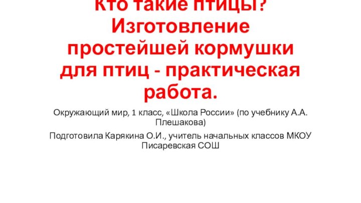 Кто такие птицы? Изготовление простейшей кормушки для птиц - практическая работа.Окружающий мир,