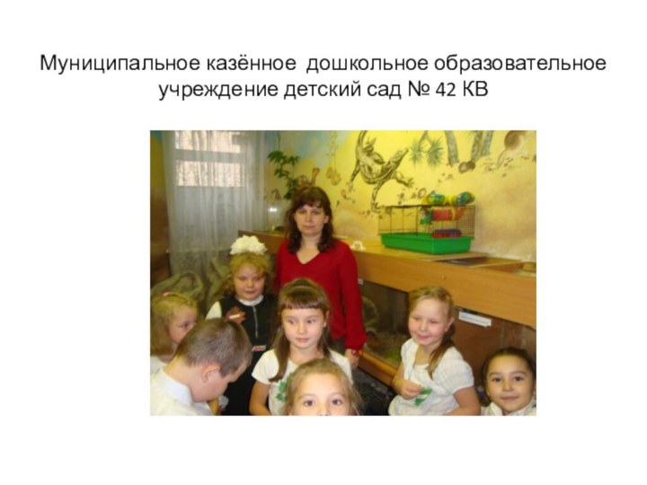 Муниципальное казённое дошкольное образовательное учреждение детский сад № 42 КВ