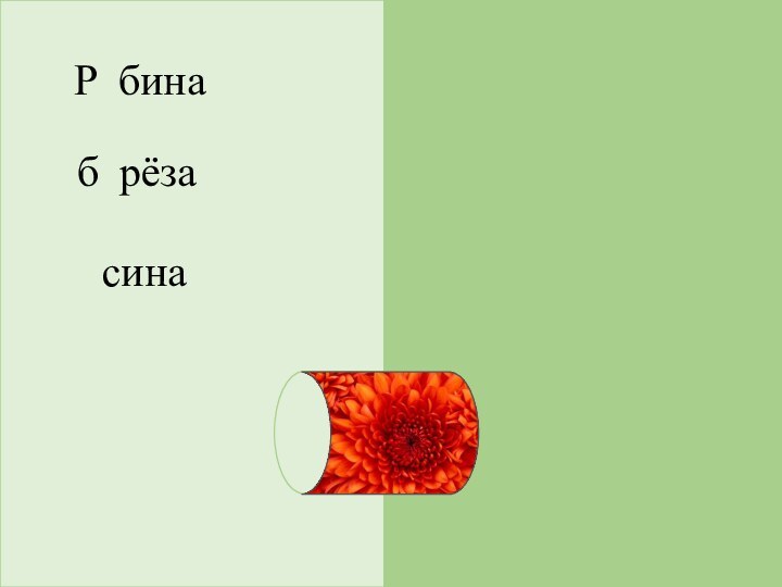 Рябинаберёзаосина