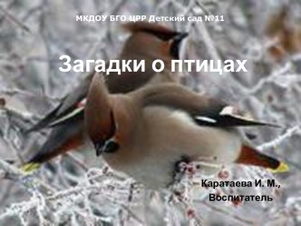 Загадки о птицах презентация к уроку по окружающему миру ( группа)