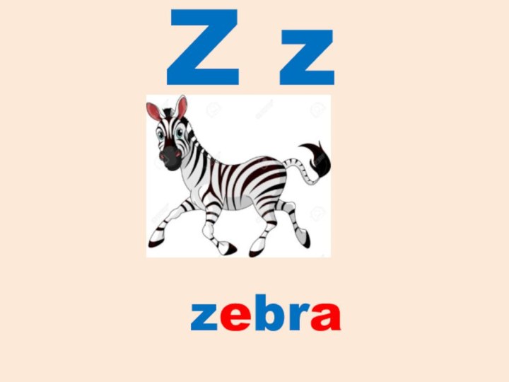 Z zzebra