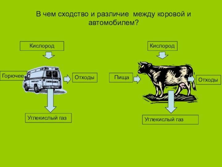 В чем сходство и различие между коровой и автомобилем?КислородКислородОтходыОтходыУглекислый газУглекислый газ ПищаГорючее