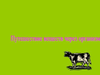 Мастер- класс Путешествие веществ через организм презентация к уроку по окружающему миру по теме