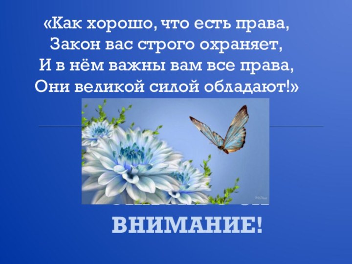 СПАСИБО ЗА ВНИМАНИЕ!«Как хорошо, что есть права,Закон вас строго охраняет,И в нём