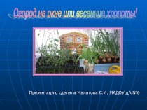 Презентация  Огород на окне. презентация к уроку по окружающему миру (старшая группа)