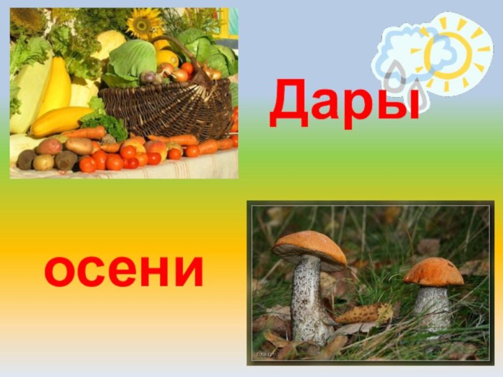 Дары осени