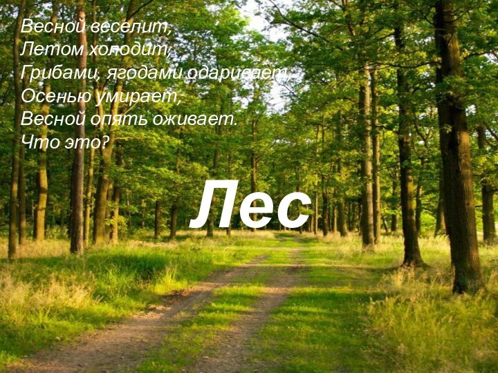 ЛесВесной веселит,  Летом холодит,  Грибами, ягодами одаривает,  Осенью умирает,  Весной опять оживает.Что это?