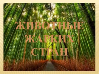 Животные жарких стран материал