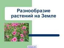 Разнообразие растительного мира на Земле презентация к уроку по окружающему миру (2 класс)