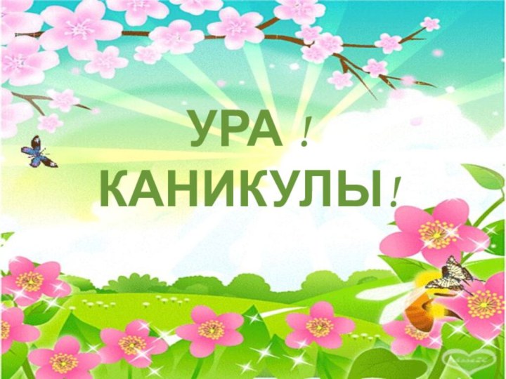 УРА ! КАНИКУЛЫ!