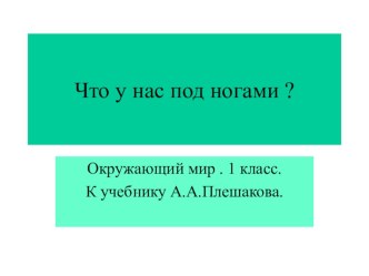 Что у нас под ногами? презентация к уроку по окружающему миру (1 класс)