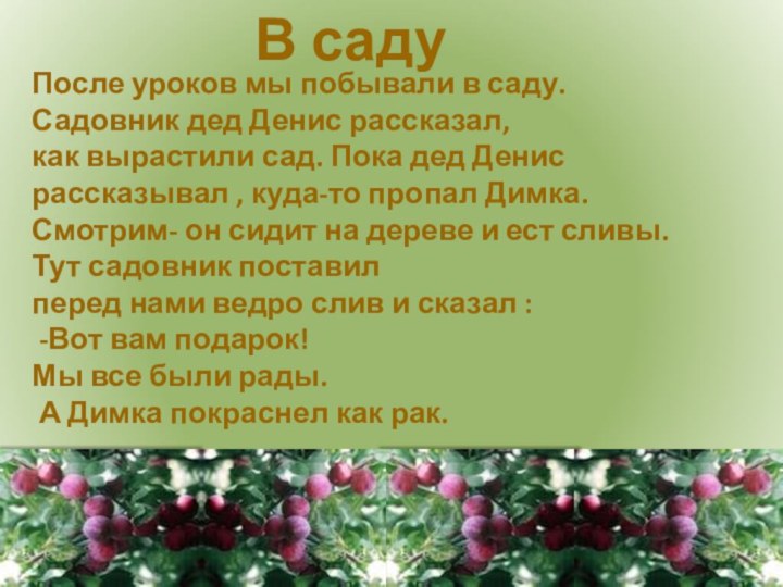 После уроков мы побывали в саду. Садовник дед Денис рассказал, как вырастили