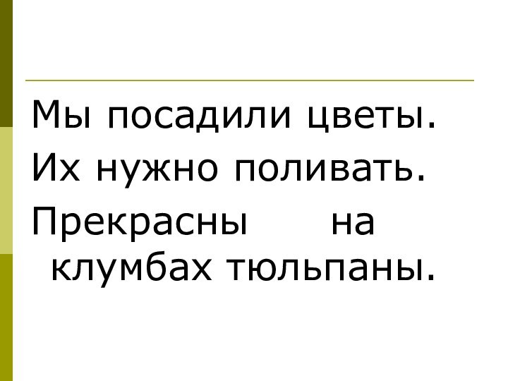 Мы посадили цветы.Их нужно поливать.Прекрасны   на клумбах тюльпаны.