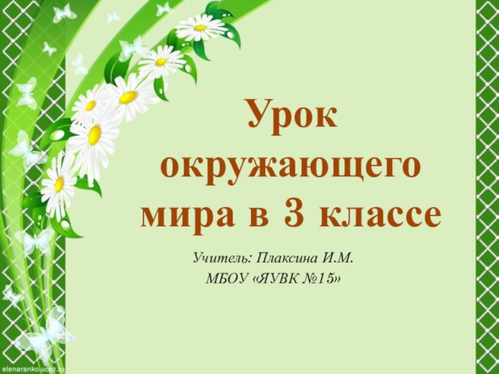 Урок окружающего мира в 3 классеУчитель: Плаксина И.М.МБОУ «ЯУВК №15»