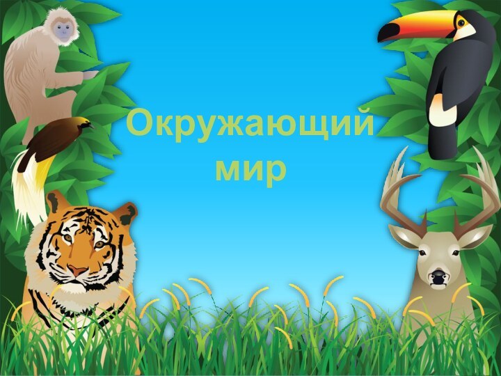 Окружающий мир